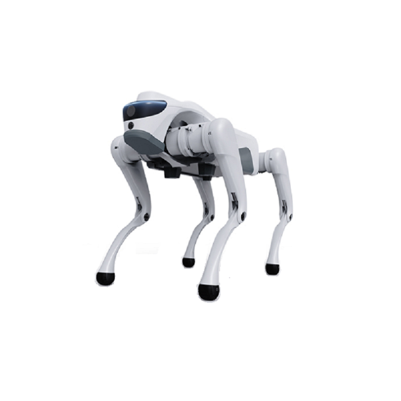 Kuidas saab neljajalgne robot muuta kaasaegseid tööstuslikke ja intelligentseid rakendusi?