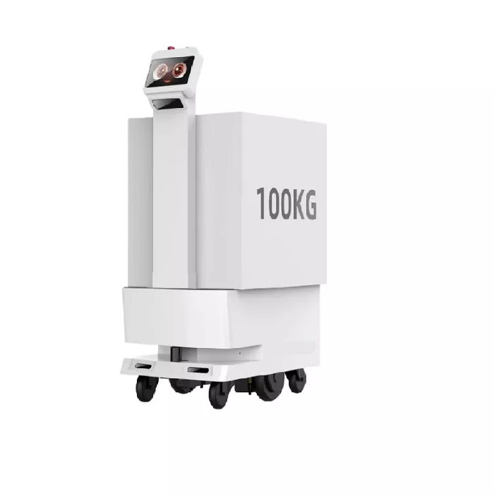 Kohaletoimetamise robot