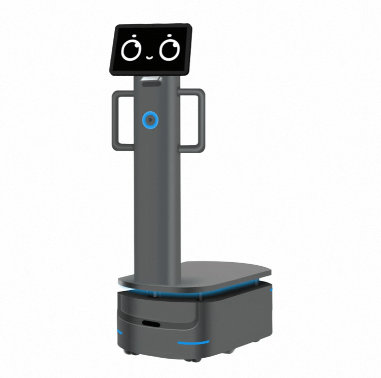 Suure kandevõimega robot tööstuslikuks tarnimiseks