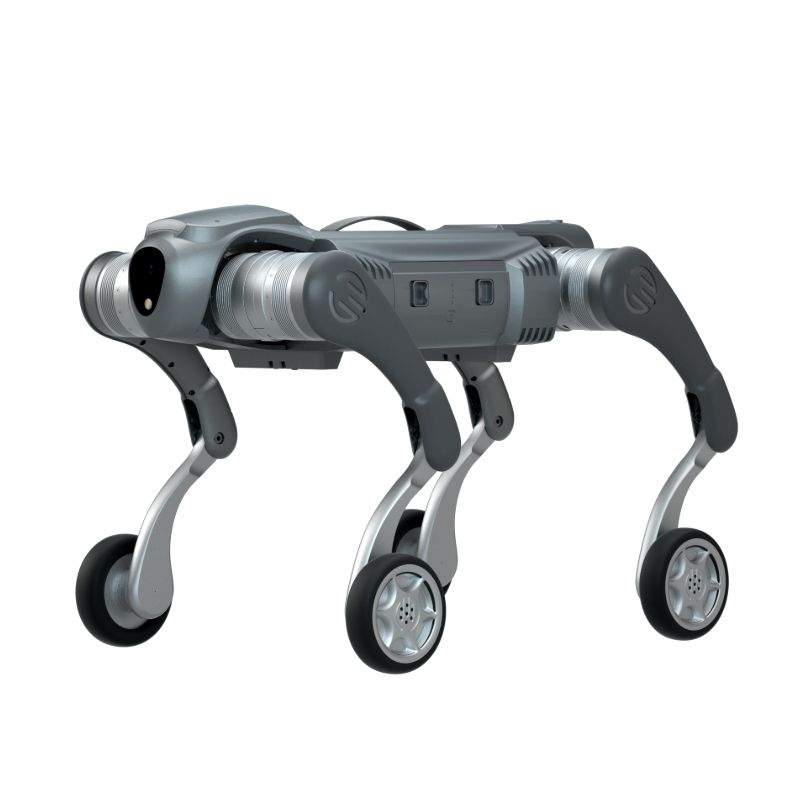 Ratasjalgne neljajalgne robotkoer